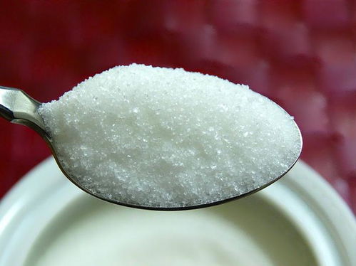 歐洲最大糖廠Suedzucker展望 糖市回暖，谷物副產品顯現潛機