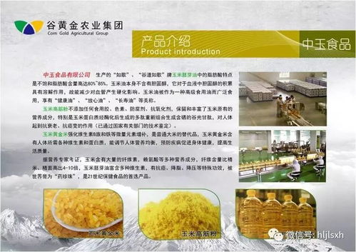 挖掘谷物金礦 谷黃金農業集團助力副產品供應鏈升級